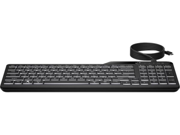 HP 405 Kablolu Klavye Siyah (7N7C1AA)