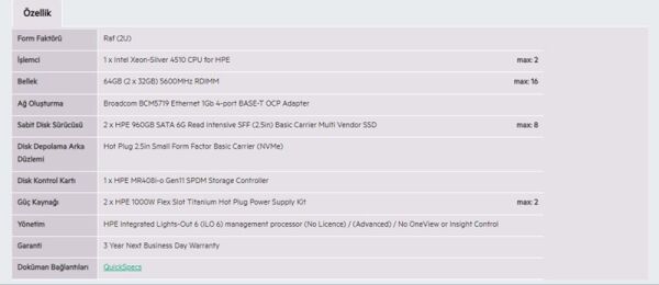 HPE DL380 Gen11 Silver 4510-64G-2x960G-2U (P71674)