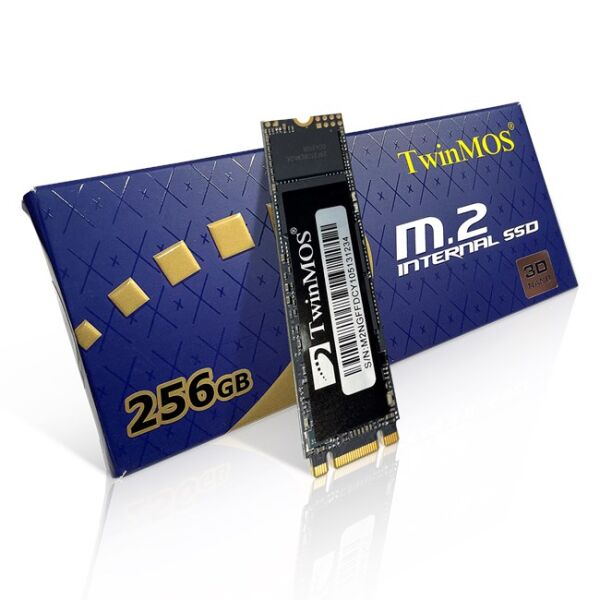 TwinMOS Internal 256GB M.2 2280 SATA3 SSD