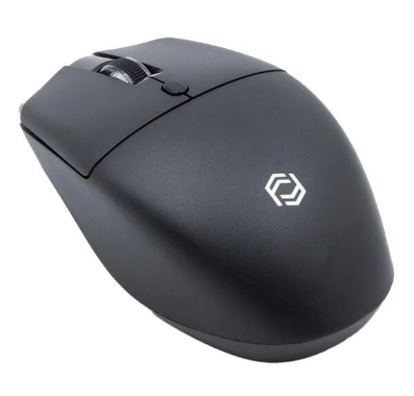 Frisby Kablosuz Mouse Siyah (FM-284WM)