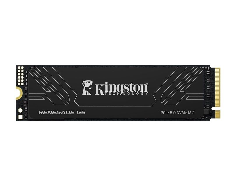 Kingston Renegade G5 1TB M.2 NVMe 14200-11000MB/s