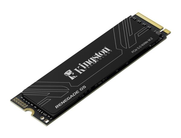 Kingston Renegade G5 1TB M.2 NVMe 14200-11000MB/s